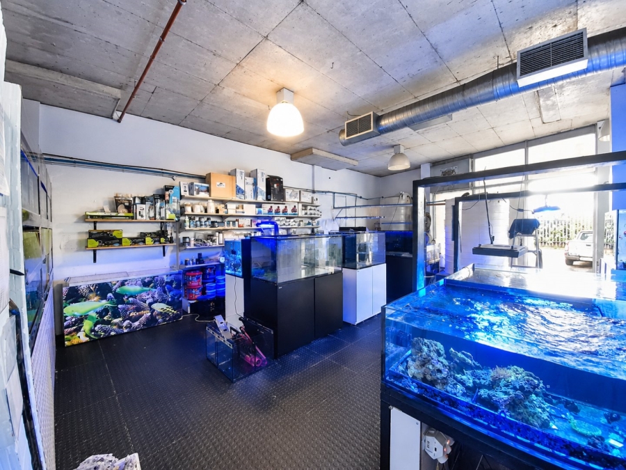 Commercial Property for Sale in Brooklyn Western Cape